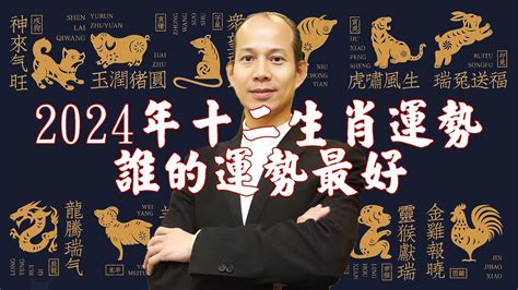 生肖狗 幸運色|2024屬狗幸運色：綠色與紅色助運指南 